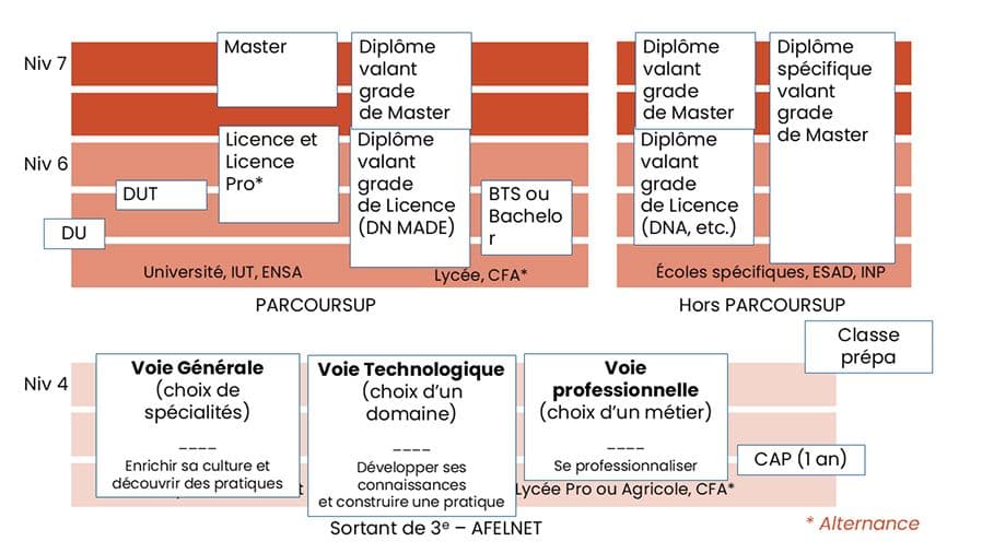 Diagramme des voies de formation